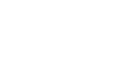 Elysian Mykonos - Luxury Tours and Transfers in Mykonos
